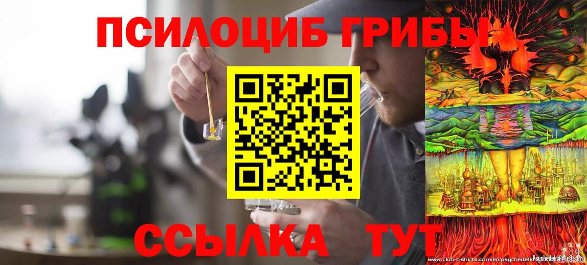 Галлюциногенные грибы GOLDEN TEACHER  Псилоцибиновые грибы прущие грибы  Кингисепп  Вход с VPN 