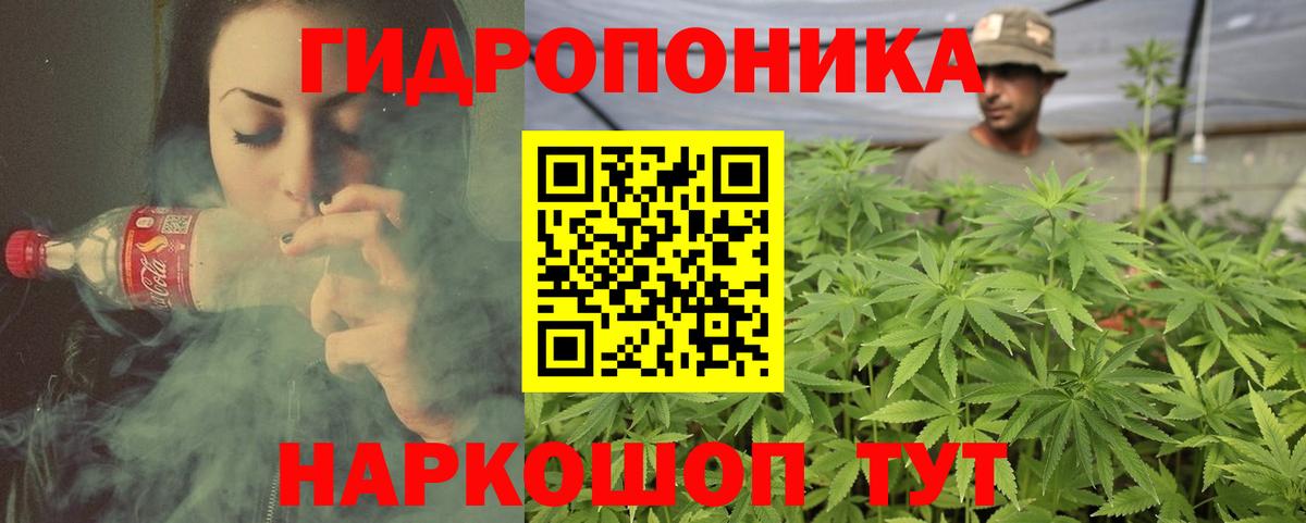 Шишки марихуана VHQ  Шишки марихуана марихуана  Вход с VPN  Конопля VHQ  Кингисепп  Марихуана гибрид 